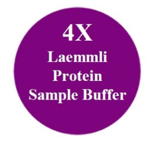 EL 4X Laemmli Protein Sample Solution